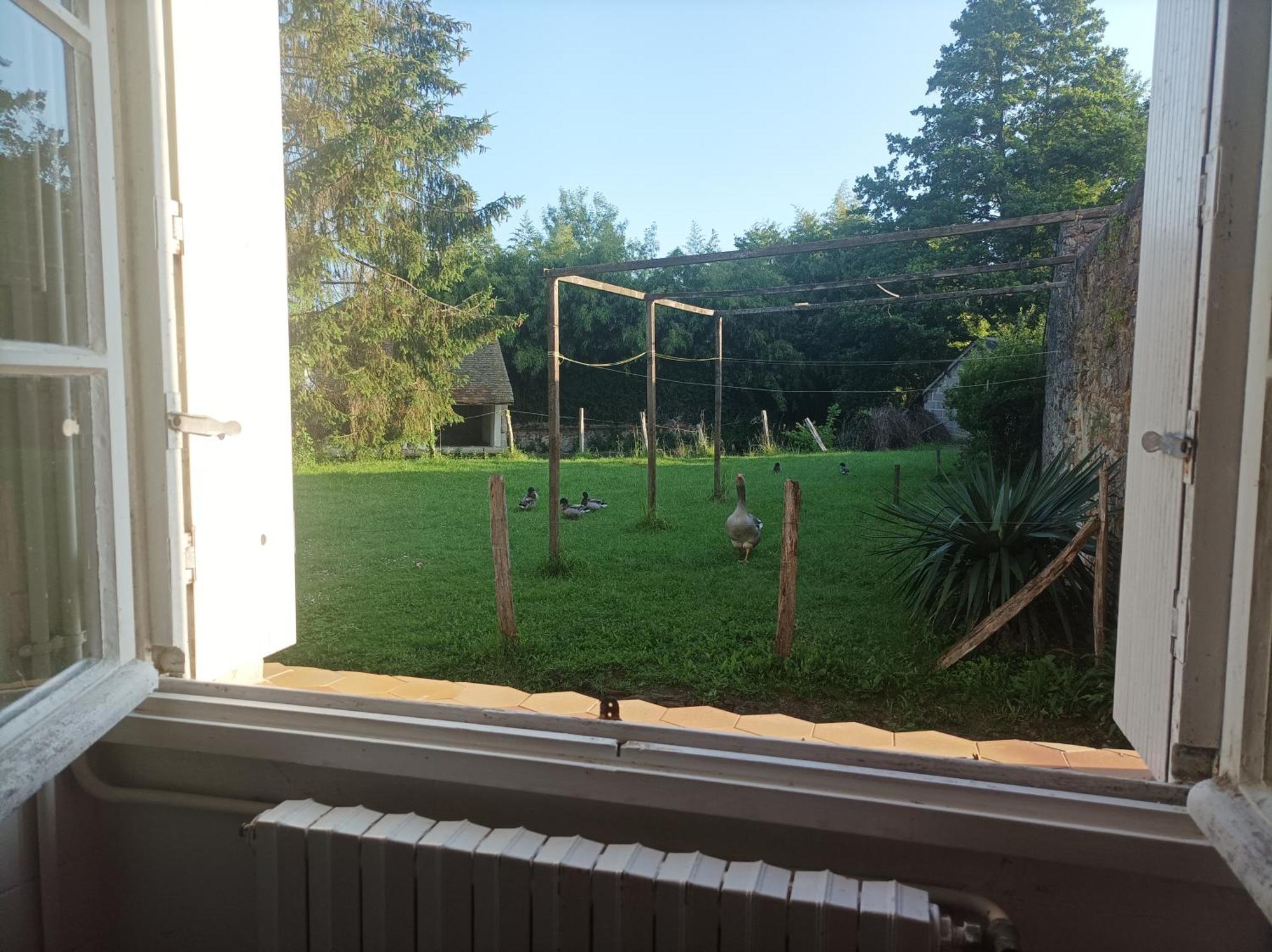 La Maison Au Bord De L'Eau Gracay Exteriör bild
