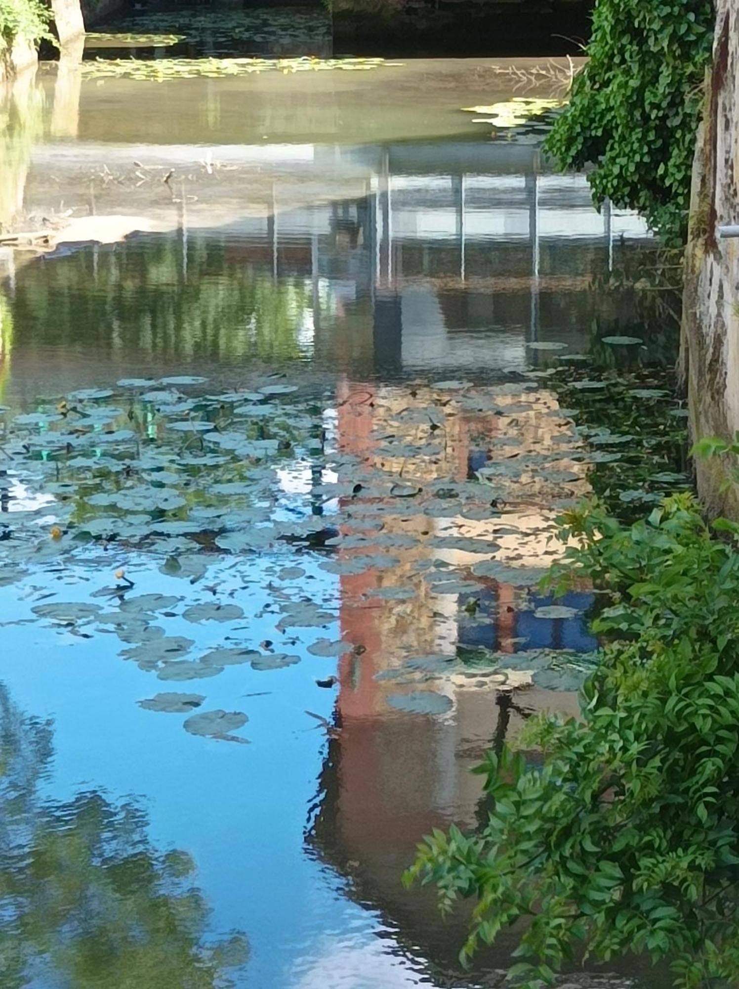 La Maison Au Bord De L'Eau Gracay Exteriör bild